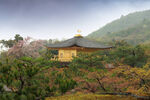 京都金阁寺