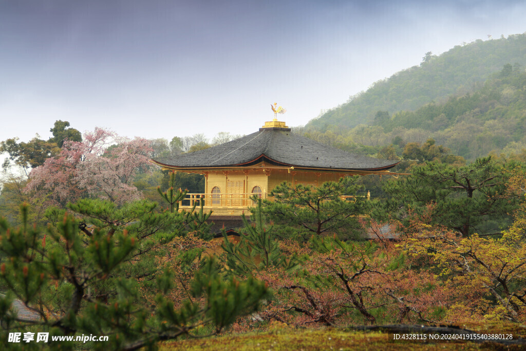 京都金阁寺