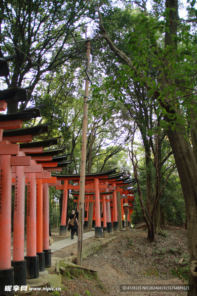 日本伏见稻荷风景