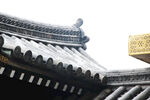 屋顶
