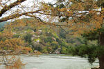 桂河岸边风景