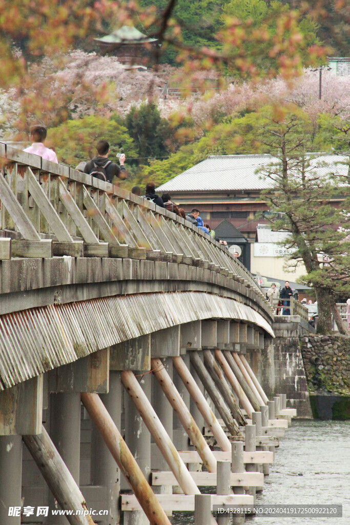 日本渡月桥风景