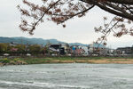 日本岚山下的桂河