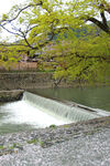 岚山桂河流水河景