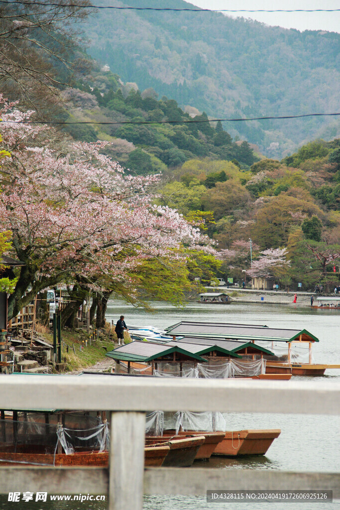 岚山桂河游船