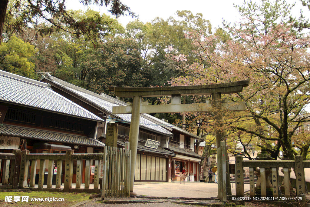 日式庭院