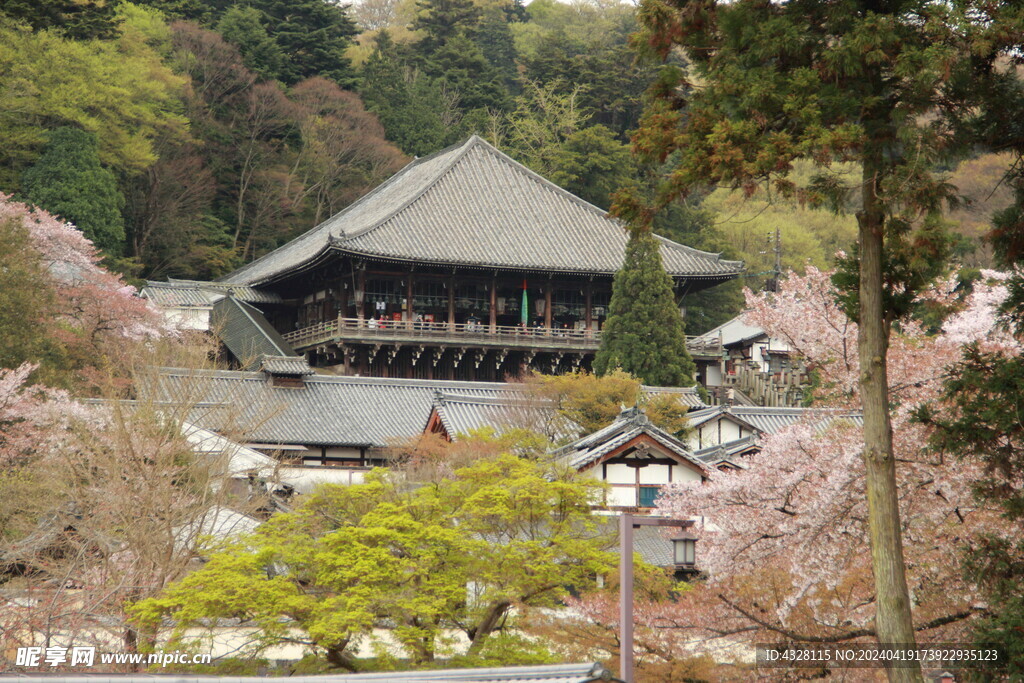 林间古建清水寺