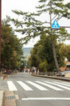 街道