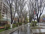 雨后城市道路