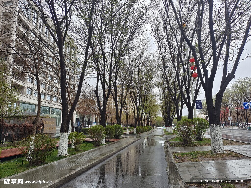 雨后城市道路