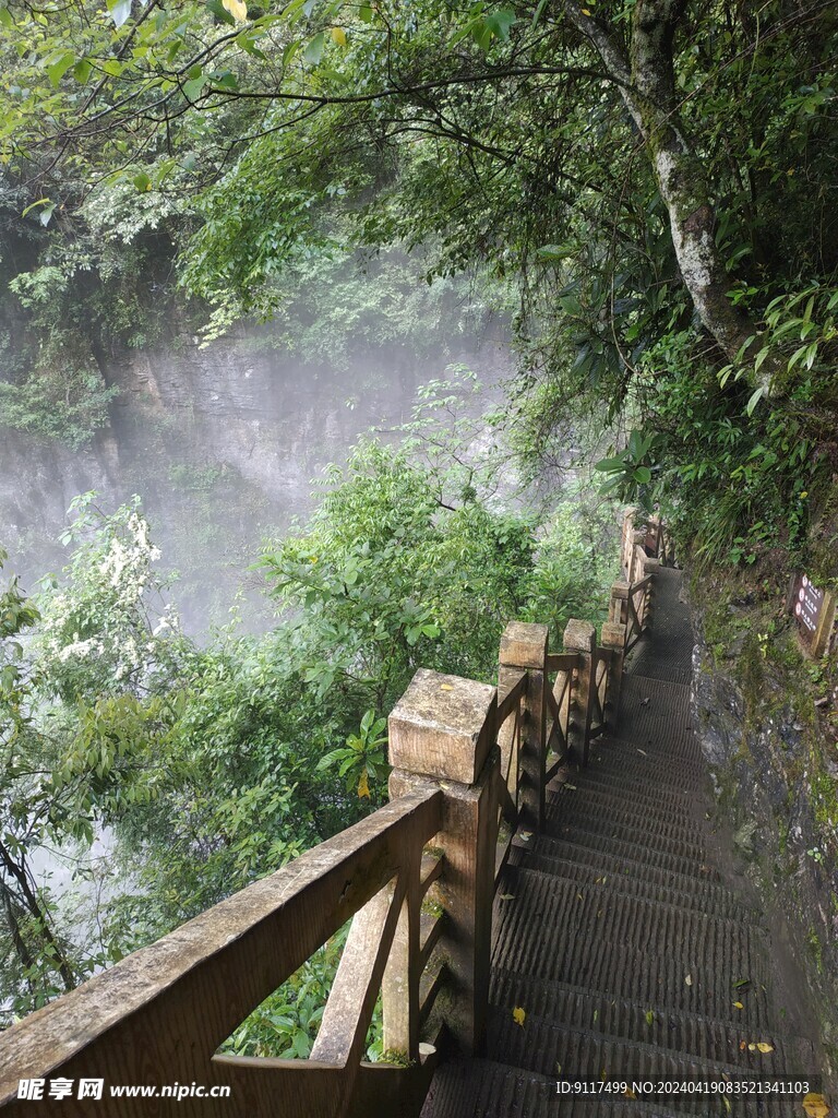 奉节小寨天坑梯道