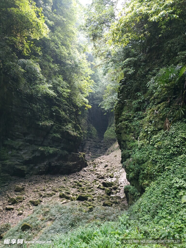 重庆奉节天井峡地缝