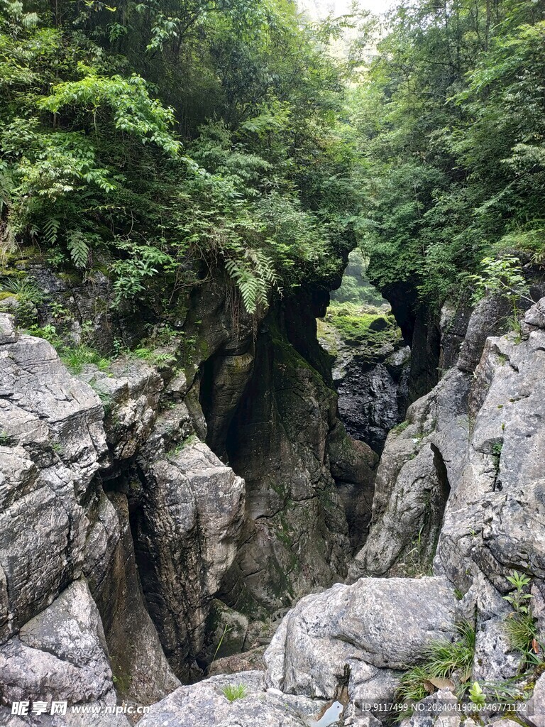 重庆奉节天井峽地缝