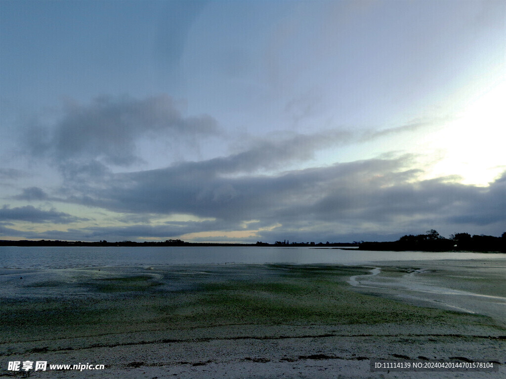 奥克兰海边黄昏风景