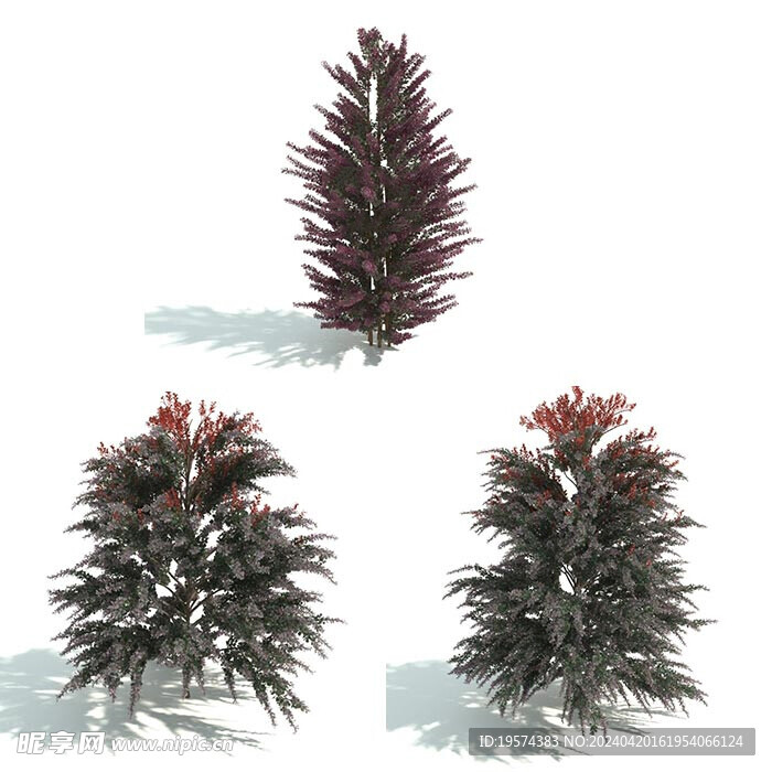 C4D模型 绿色植物  