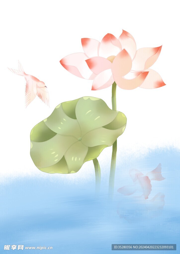 荷花