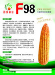 种业宣传单