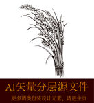 麦子稻穗小麦