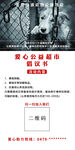 关爱流浪动物公益活动