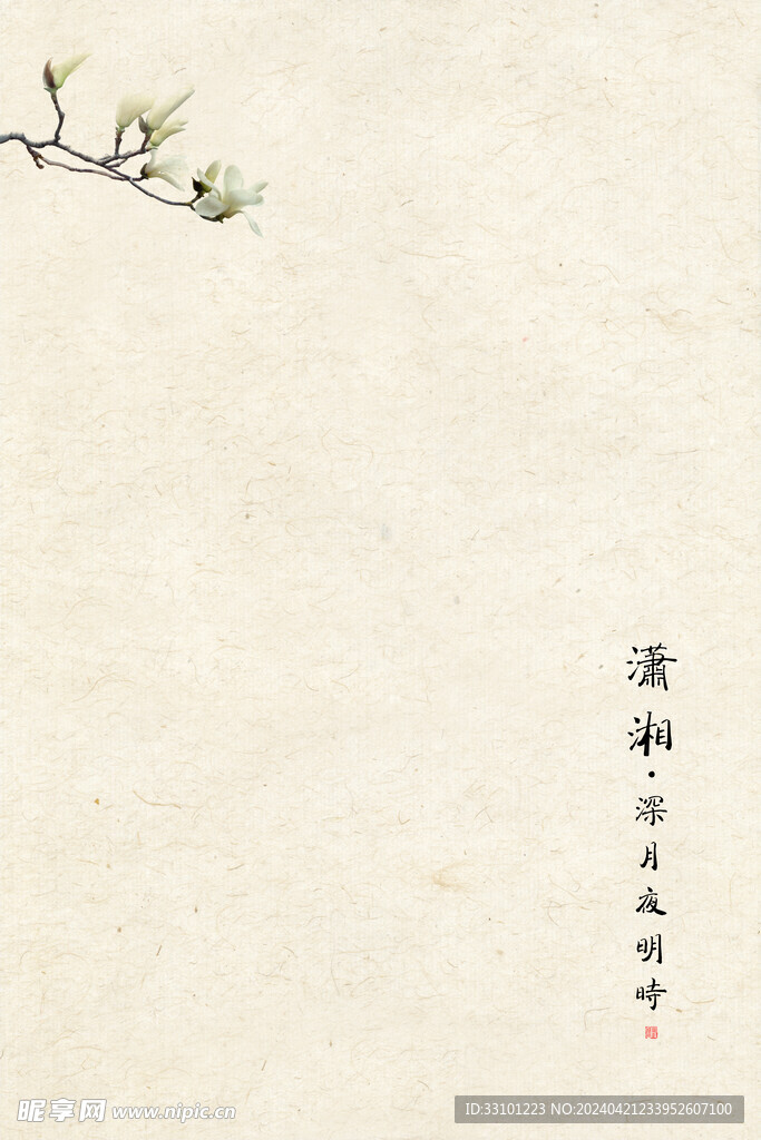 国画点缀花 水墨白玉兰