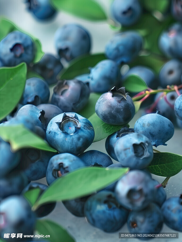 蓝莓摄影