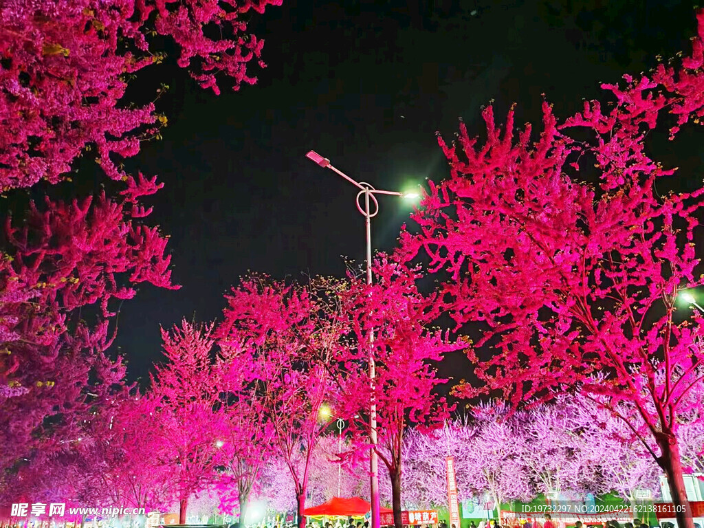 花卉