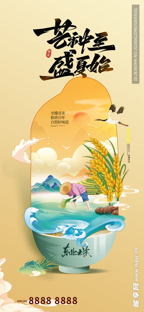 盛夏芒种  节气海报设计