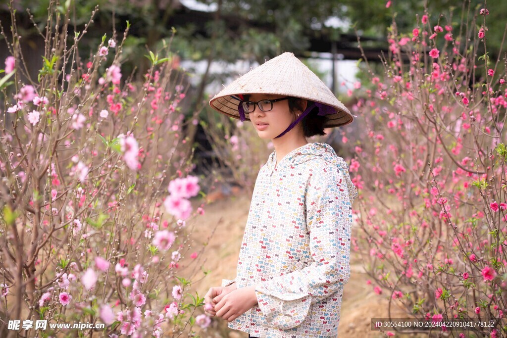 桃花图片