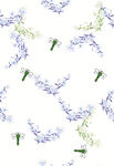 蜻蜓 花