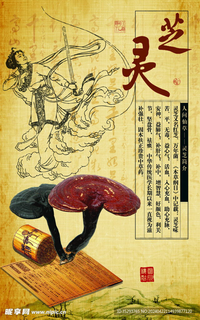  灵芝