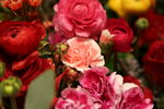 鲜花墙
