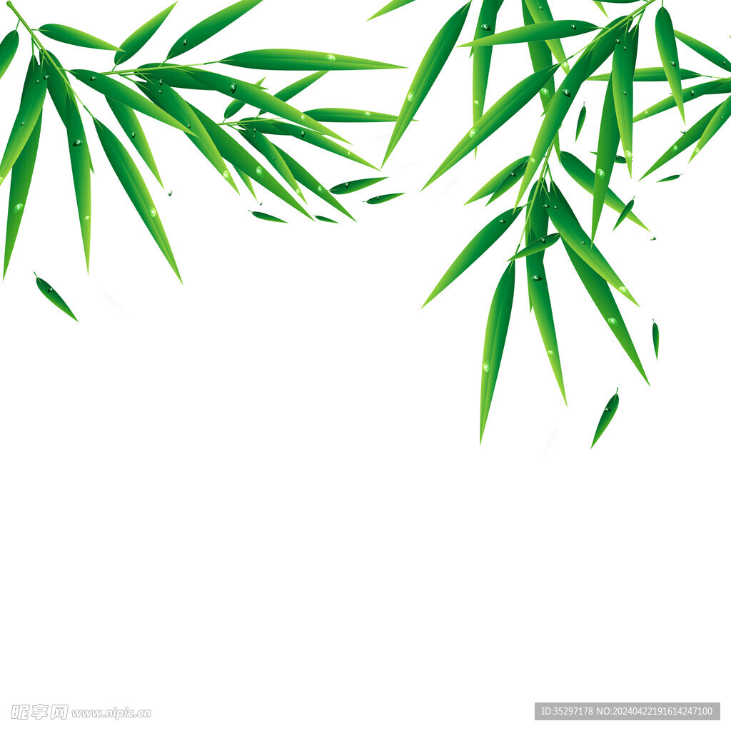 夏季植物装饰竹叶元素