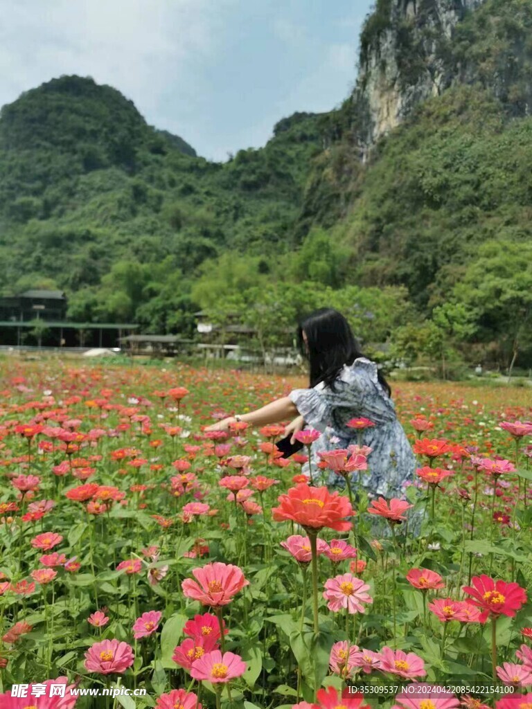 花海