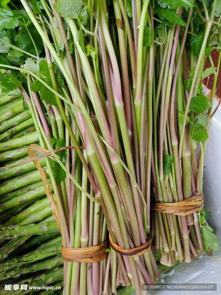 香芹