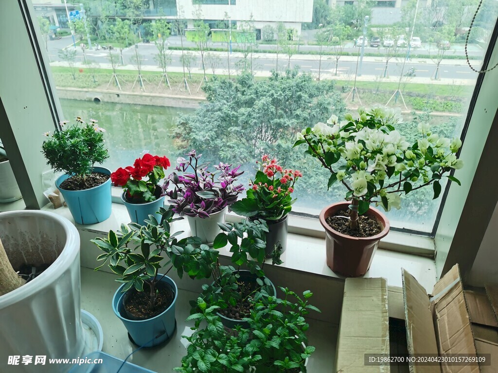 公司花景花盆