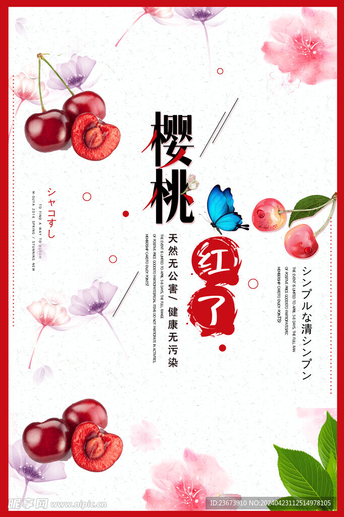 樱桃红了