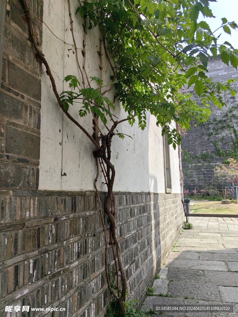 墙