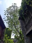 老门东