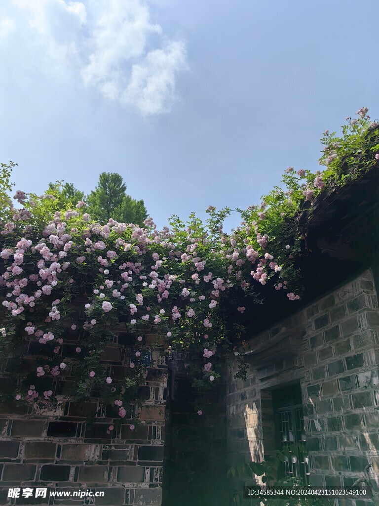 花墙