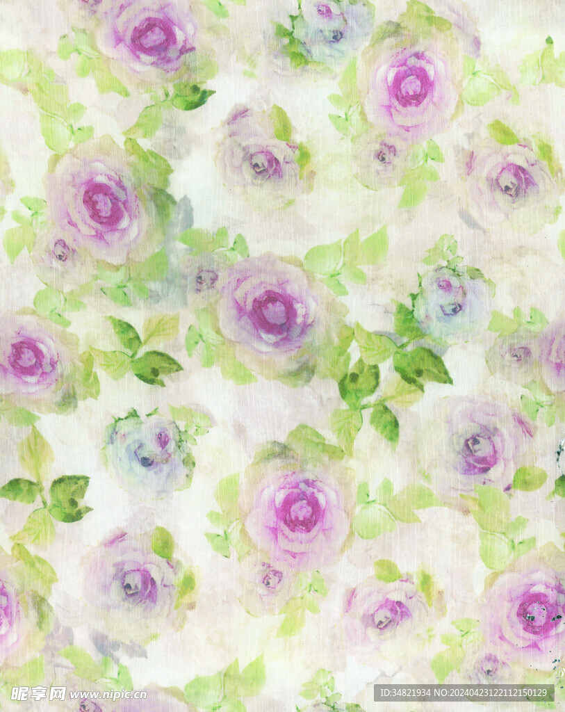撒银丑花