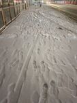雪地