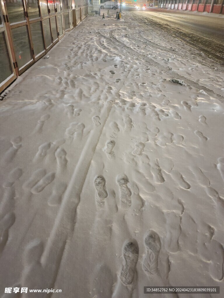 雪地