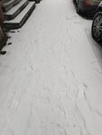 雪地