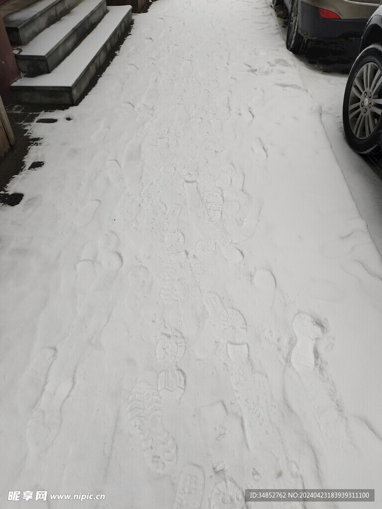 雪地