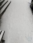 雪地