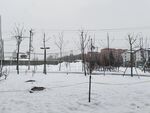 雪景