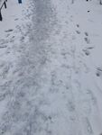 雪地