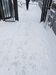雪地
