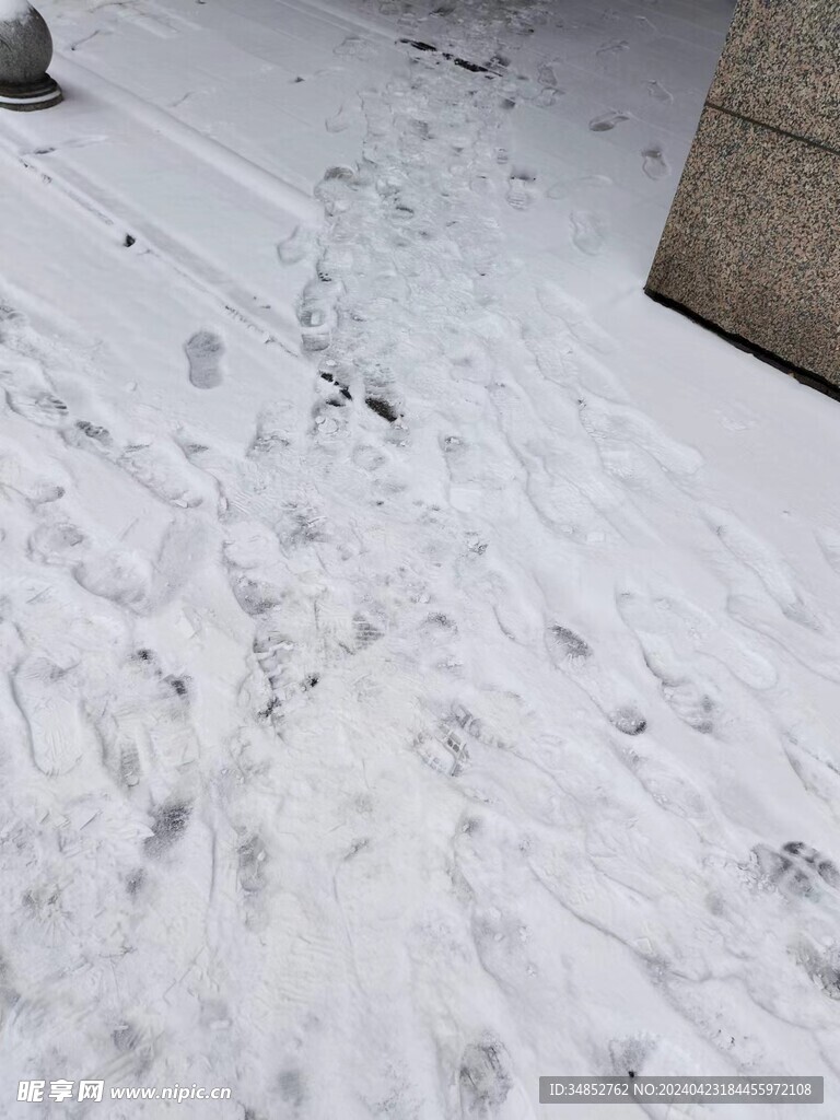 雪地