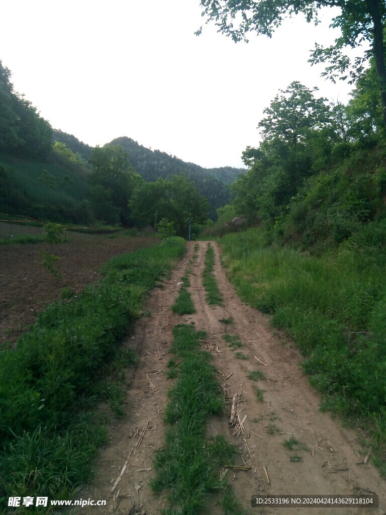 山路